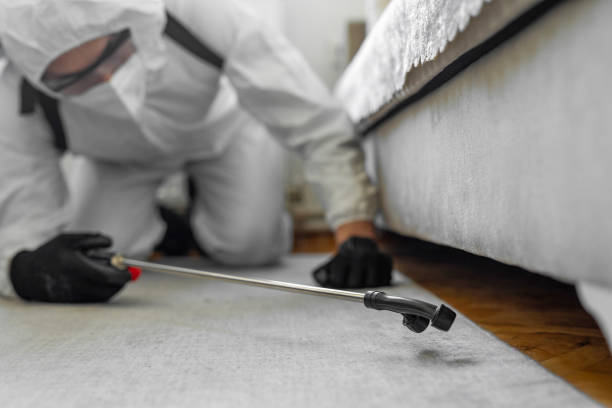 Professional Cockroach Control technician working in Mount Carroll, IL
