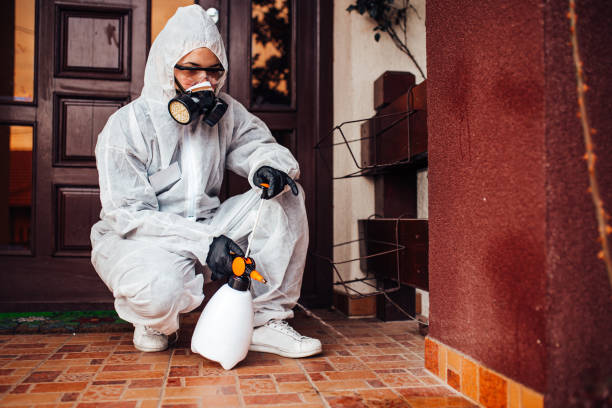 Reliable Cockroach Control contractor in Mount Carroll, IL by Nex Pest Control
